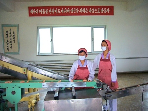 Rugrado soap factory in Pyongyang