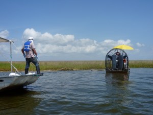 Cleaning up after the oil spill in Louisiana
