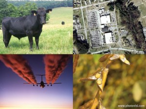 Hot issues: American cattle, the NSA headquarters, airline emissions and soy beans (USDA, US Air Force, Google Earth)
