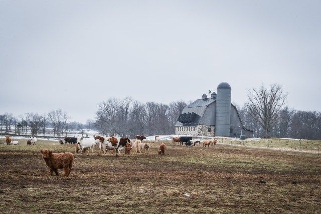 GoKateShoot-Lerner-244